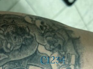 C1234