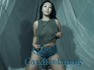 Candicebunny