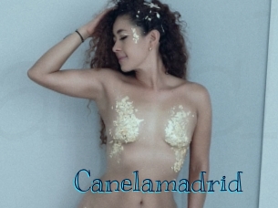 canelamadrid Archive DVD BIZ