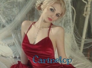 carinetop Archive DVD BIZ