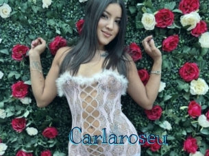 carlaroseu Archive DVD BIZ
