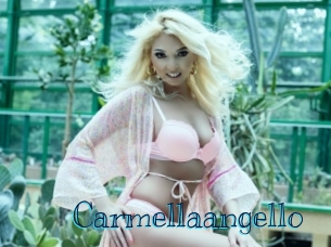 carmellaangello Archive DVD BIZ