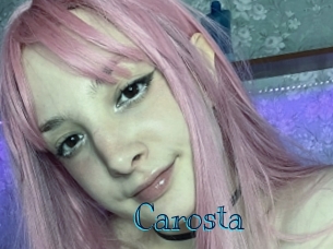 carosta Archive DVD BIZ