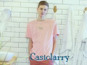 Casiolarry