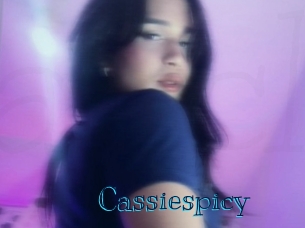 cassiespicy Archive DVD BIZ