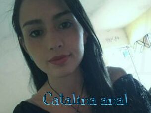 Catalina_anal