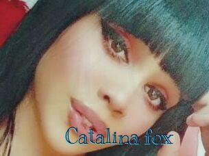 Catalina_fox