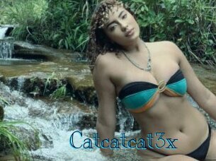 Catcatcat3x