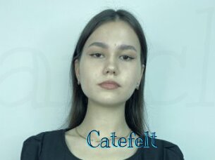 Catefelt