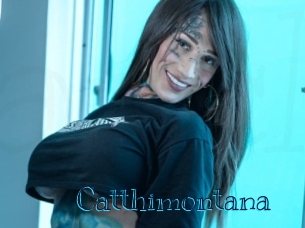 catthimontana Archive DVD BIZ