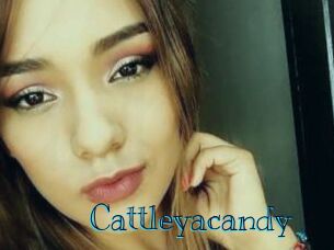 Cattleyacandy