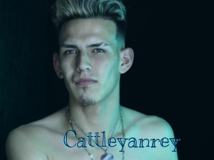 cattleyanrey Archive DVD BIZ