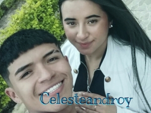 celesteandroy Archive DVD BIZ