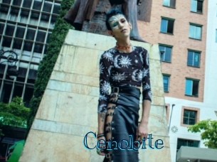 cenobite Archive DVD BIZ