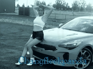 Changfleekpanda