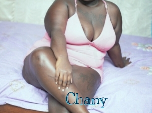 chany Archive DVD BIZ
