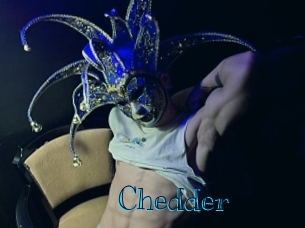 Chedder
