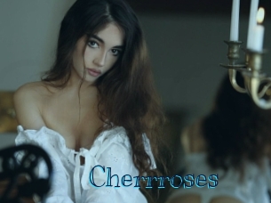 cherrroses Archive DVD BIZ