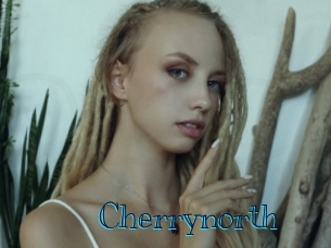 cherrynorth Archive DVD BIZ