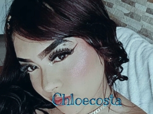 chloecosta Archive DVD BIZ