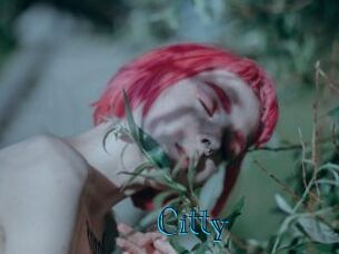 Citty