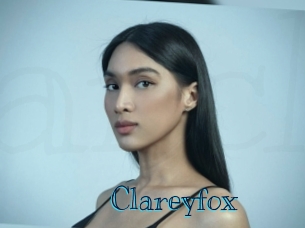 clareyfox Archive DVD BIZ