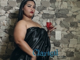 clarigil Archive DVD BIZ
