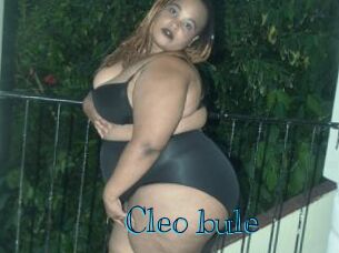 Cleo_bule