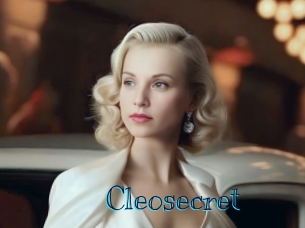 cleosecret Archive DVD BIZ