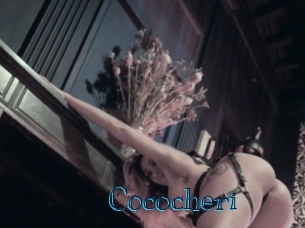 cococheri Archive DVD BIZ