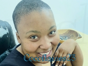 cocoflames23 Archive DVD BIZ
