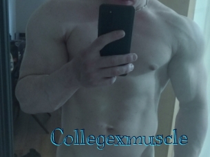 collegexmuscle Archive DVD BIZ