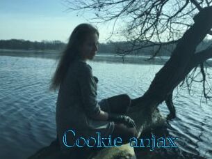 Cookie_anjax