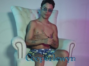 Cooperlewyn