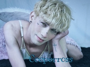 cooperross Archive DVD BIZ