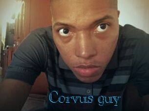 Corvus_guy