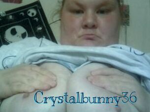 Crystalbunny36