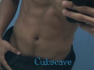 Cubscave