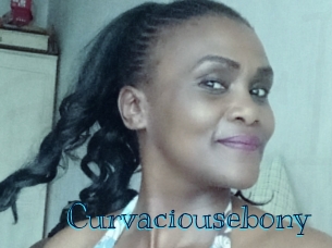 curvaciousebony Archive DVD BIZ