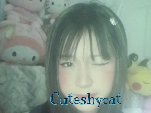 cuteshycat Archive DVD BIZ