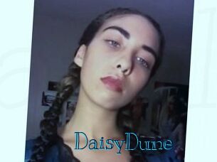 Daisy_Dune