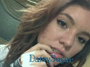 Daisy_Sugar