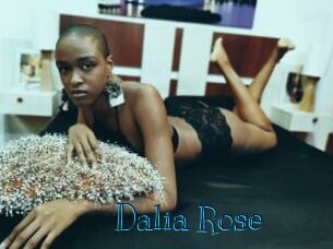 Dalia_Rose