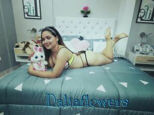 Daliaflowers