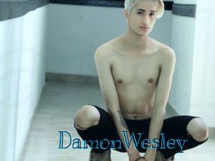 DamonWesley Archive DVD BIZ