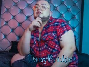 DanyBridge