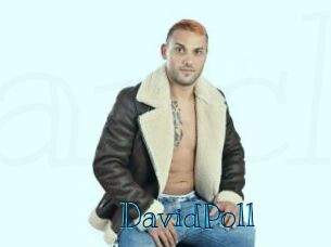 DavidPoll