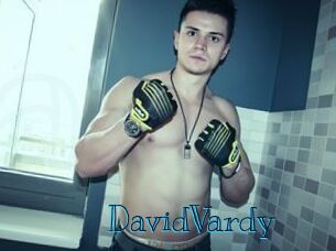 DavidVardy