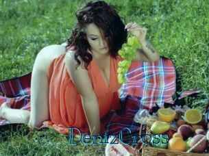 DenizCross
