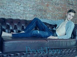 DerekTiger
